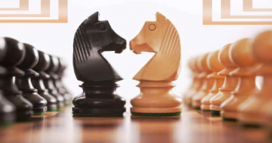 шахматы шахматные фигуры конь