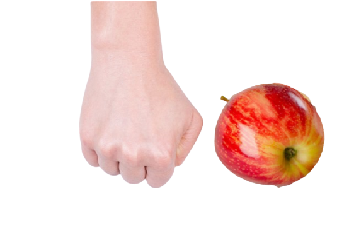 порция фруктов кулак и яблоко