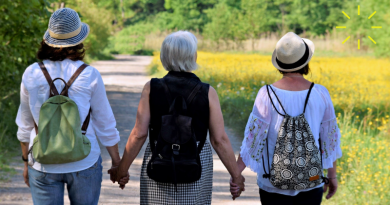 три женщины три женщины держатся за руки три женщины на прогулке