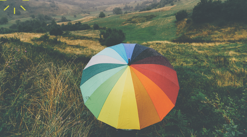 зонт природа горы трава