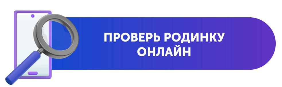 Интерактивные сервисы