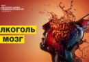 Влияние алкоголя на мозг