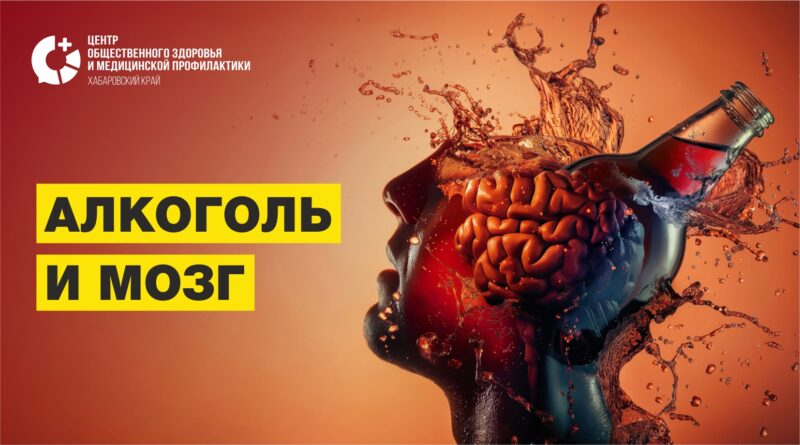 Влияние алкоголя на мозг